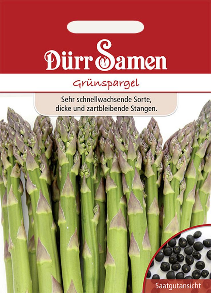 Dürr-Samen - Grünspargel - Saatgut - 0511 Produktbild 