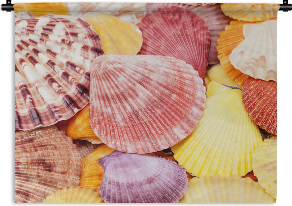 MuchoWow Wandteppich Wandbehang Muscheln - Rot - Gelb - Strand - Sommer 90x67.5 cm Tapisserie Dekoration Wandtuch - Fototeppich - Wand-Skulpturen