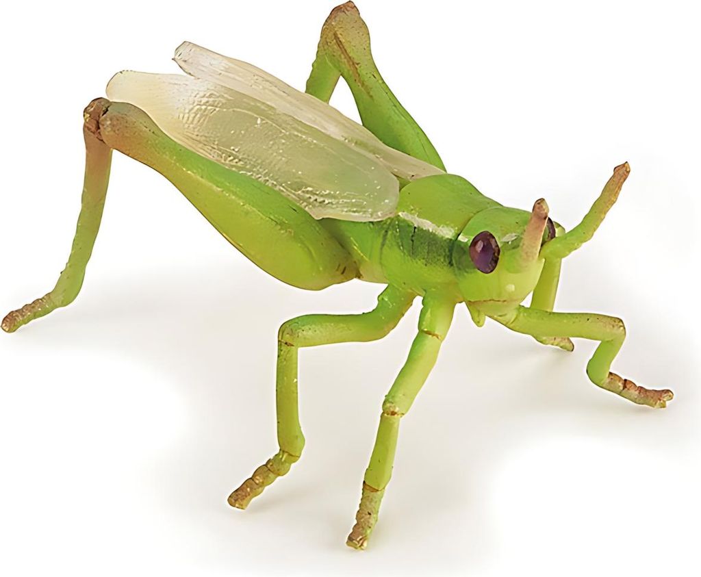 Papo SAS, figuur van 4 cm, sprinkhaan, vanaf 3 jaar Productafbeelding 