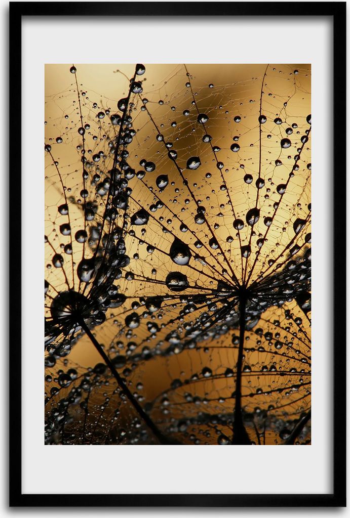 Bild - Bilderrahmen - 40 cm x 60 cm - MDF - Rahmen - Wandkunst - Löwenzahnsamen