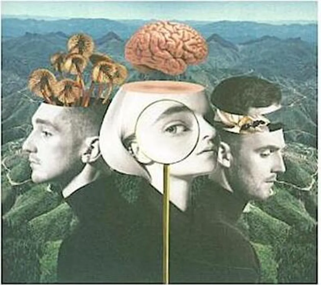 Essai philosophique Qu'est-ce que l'amour ? Grand format pour adultes