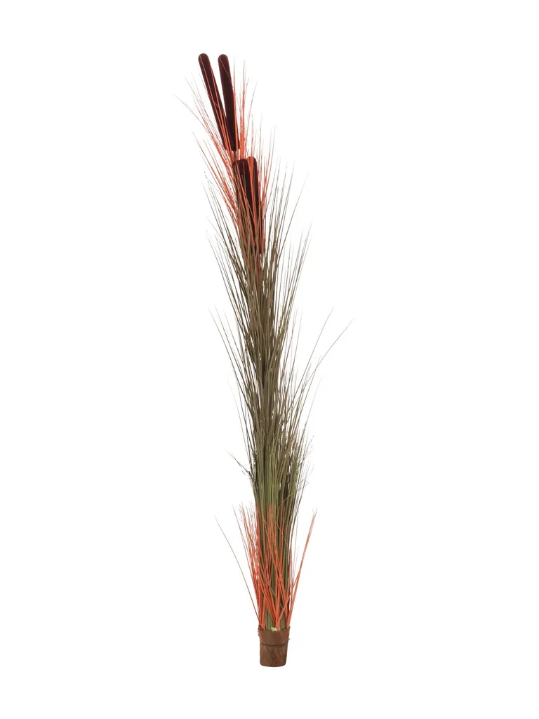 EUROPALMS Erba di Canne 152cm: Pianta Artificiale Marrone Chiaro 82505856