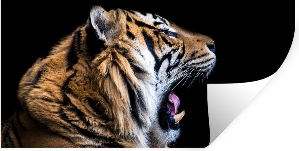 MuchoWow Wandtattoo Wandsticker Wandaufkleber Tiger - Tiere - Porträt 80x40 cm Selbstklebend und Repositionierbar