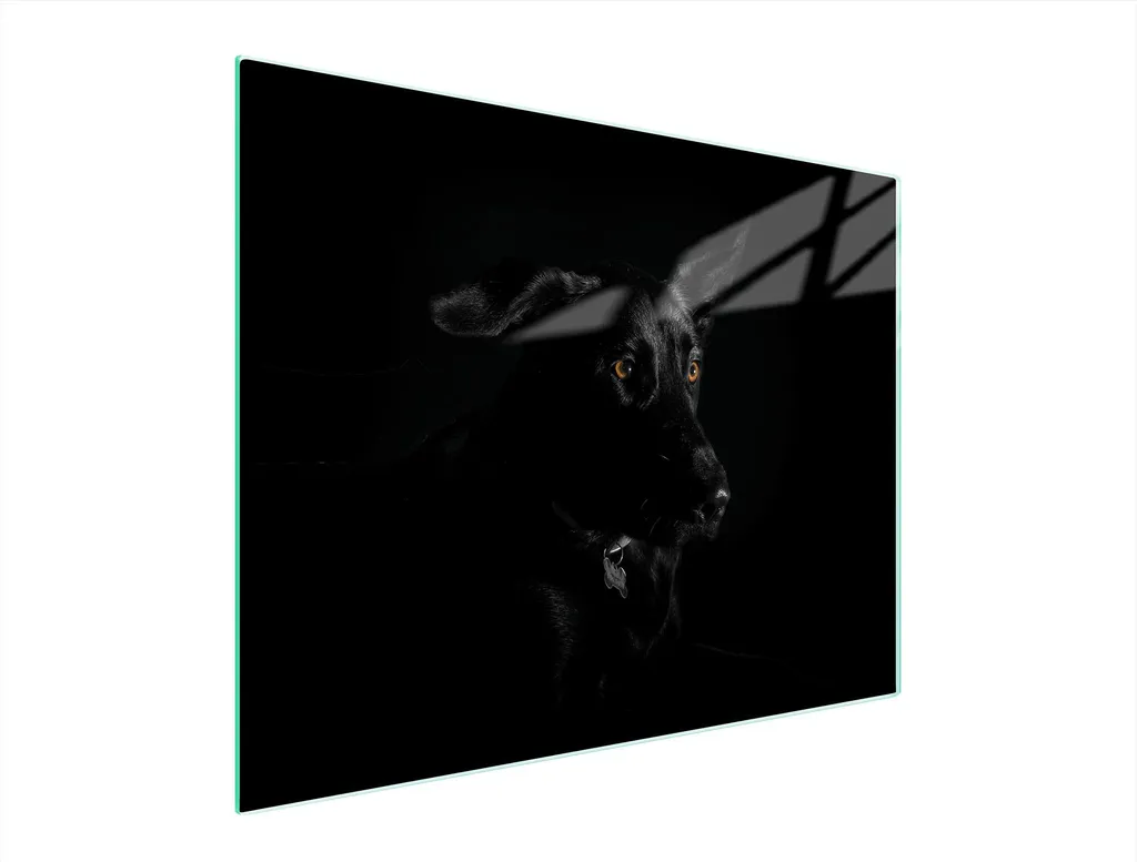 Tagliere in vetro 52x40 cane