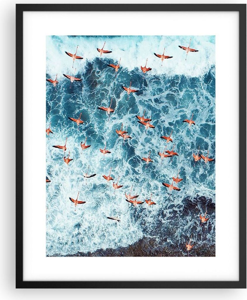 Gerahmtes Poster - Schwarzer Rahmen - Flamingos Karibik Vögel - 40x50 cm - Wand Bild - Wanddeko - Wandbilder - Kunstposter - Wandposter - Bilderra...