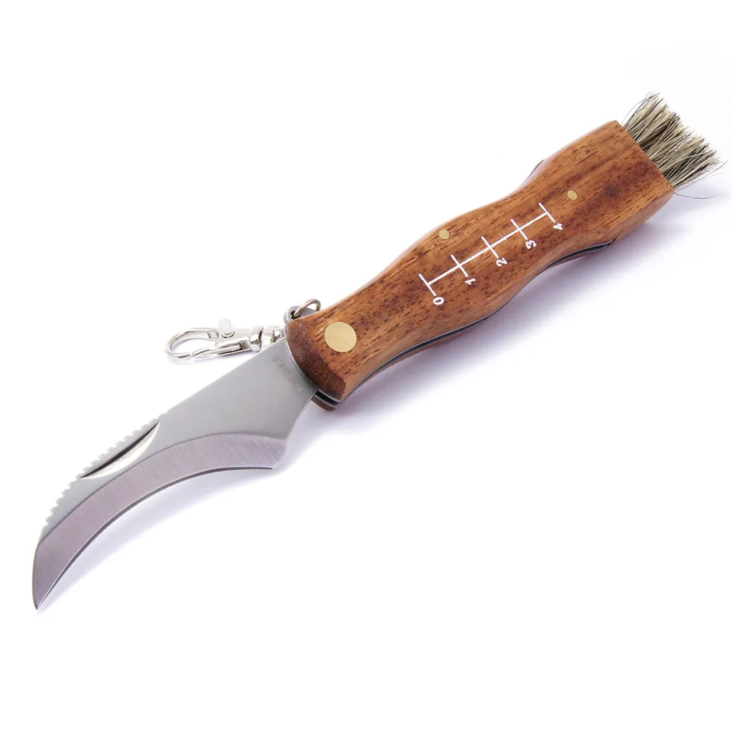 Couteau à champignons pliant MAM 2591 avec brosse et manche en hêtre
