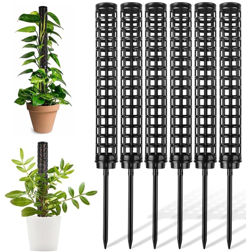 Soportes para plantas tipo musgo - Extensibles hasta 150 cm Imagen del producto 