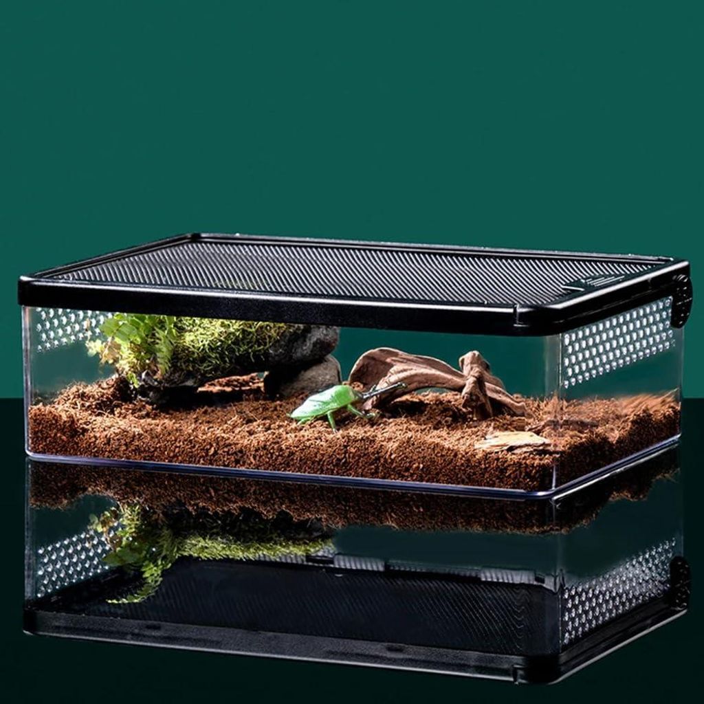 Mini terrarium en acrylique avec boîte à nourriture Image du produit 