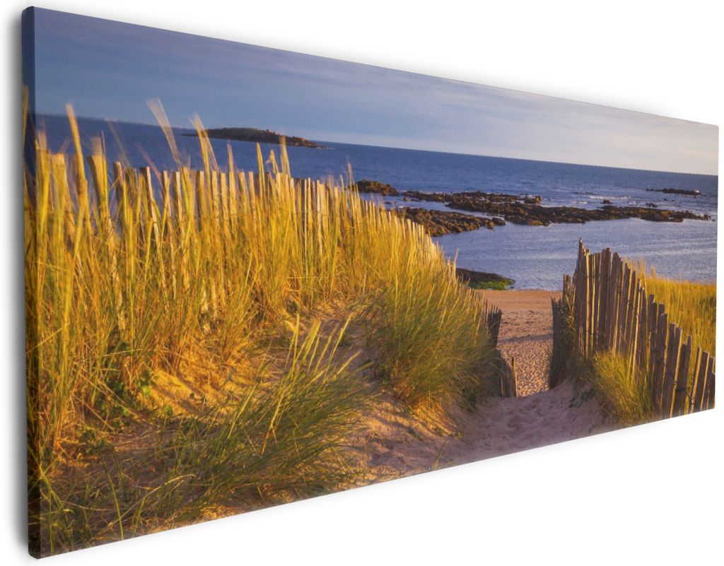 Wallario Premium Leinwandbild Weg durch die Dünen zum Meer an der Küste in Größe 50 x 125 cm