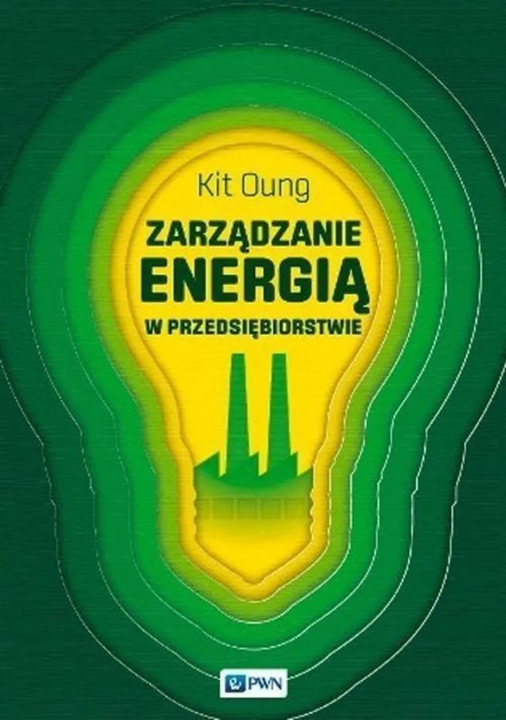 Livre de Gestion de l'Énergie en Entreprise pour Audit et Performance RH