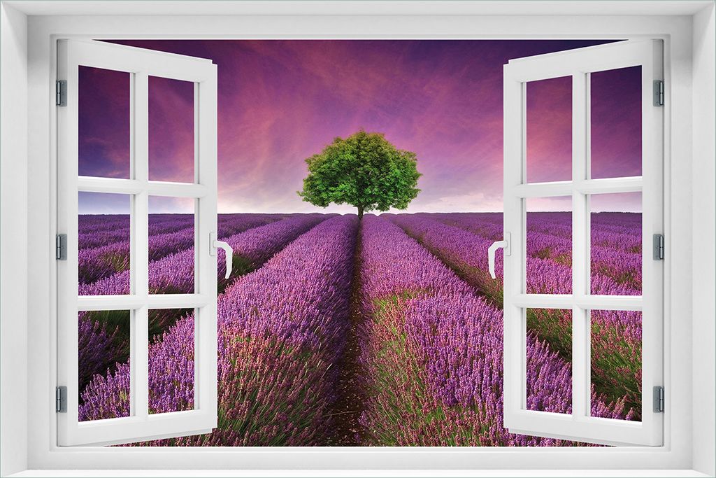 Wallario Poster mit Fenster-Illusion: Lila Blumenfeld, Größe: 61 x 91,5 cm (Maxiposter)