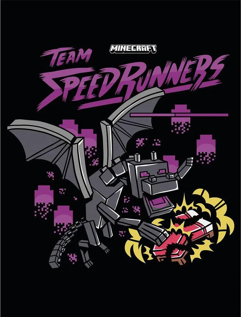 Toile Minecraft Team Speedrunners PM11102 : Fini les Murs Vides et Tristes
