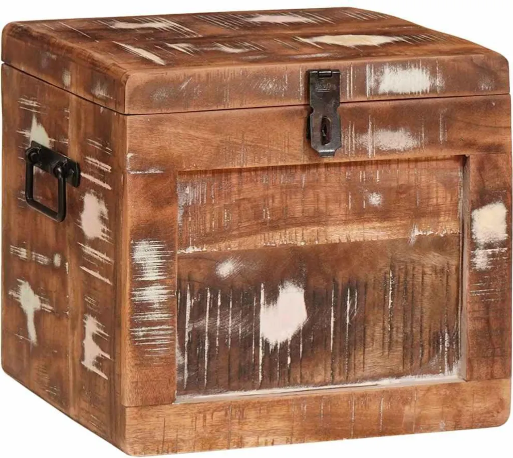 vidaXL Scatola portaoggetti con porta in legno massiccio di mango marrone
