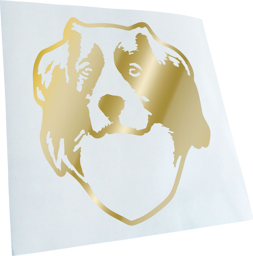 Kiwistar - Autoaufkleber - kooikerhondje Hund - Goldchrom - 24x20cm - Aufkleber für Auto, Laptop, Fahrrad, LKW, Motorrad mehrfarbig JDM Decal Racing