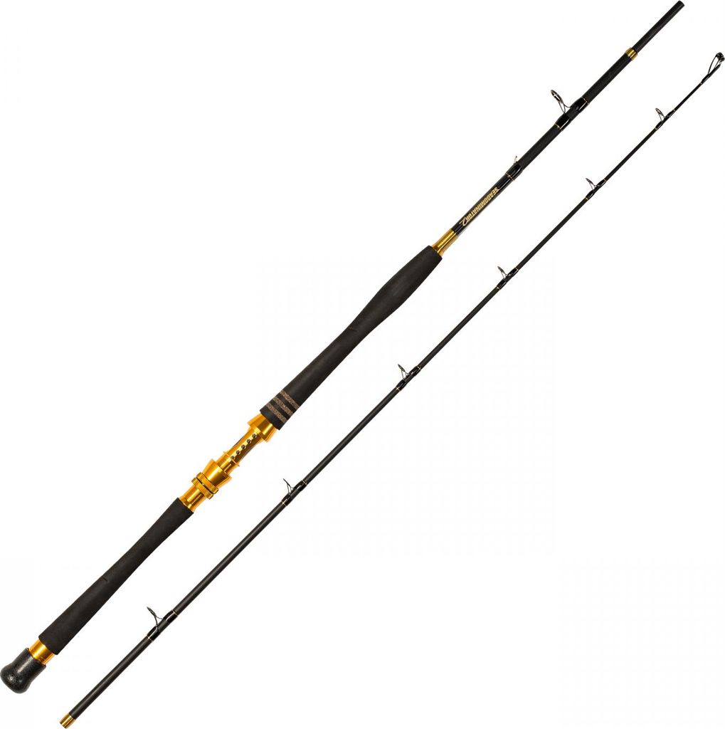 Meeresrute Seadominator 210 cm 0-50 lbs 2-teilig mit Produktbild 