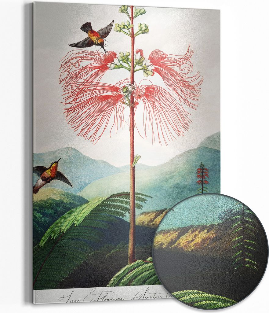 DEQOART Magnettafel Metall 40x60 cm 'Flug des Kolibris' Whiteboard Pinnwand Büro