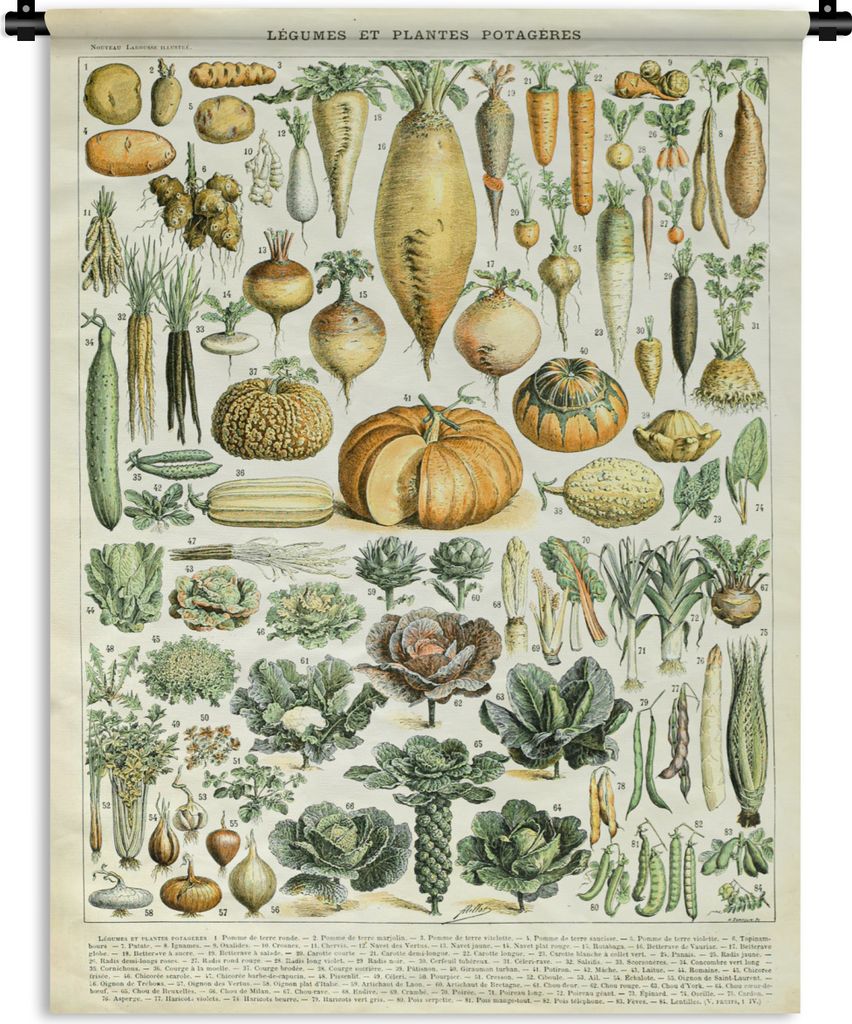 MuchoWow Wandteppich Wandbehang Vintage - Gemüse - Karotte - Kunst - Adolphe Millot - Orange 60x80 cm Tapisserie Dekoration Wandtuch - Decke - W...