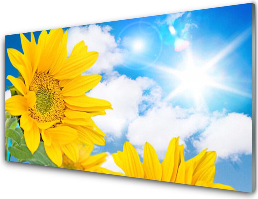 Acrylglasbilder 100x50 Wandbild Druck Blumen Pflanzen Produktbild 