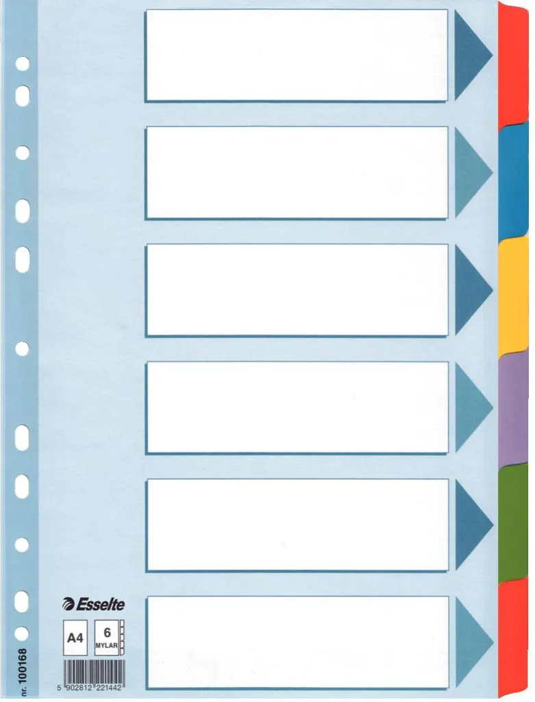 Intercalaires en Carton Multicolore A4 Esselte pour Classeur de Bureau