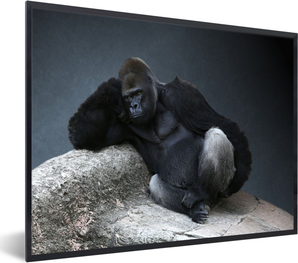 MuchoWow Gerahmtes Poster Gorilla entspannt auf einem Felsen 80x60 cm - Poster mit Schwarzem Bilderrahmen Wandposter Rahmen Foto Bilder - Schwarz...