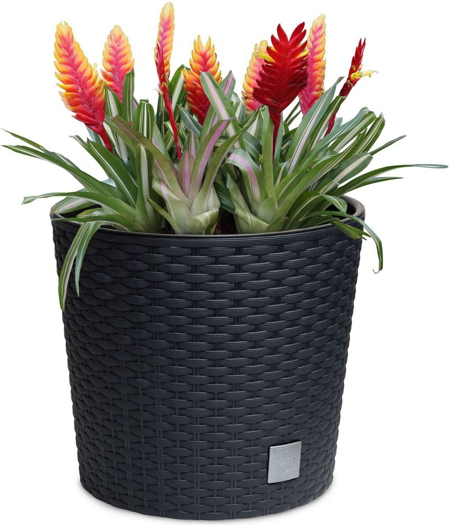 2er Set Rattan Blumentopf Blumenkübel Pflanzentopf Produktbild 3
