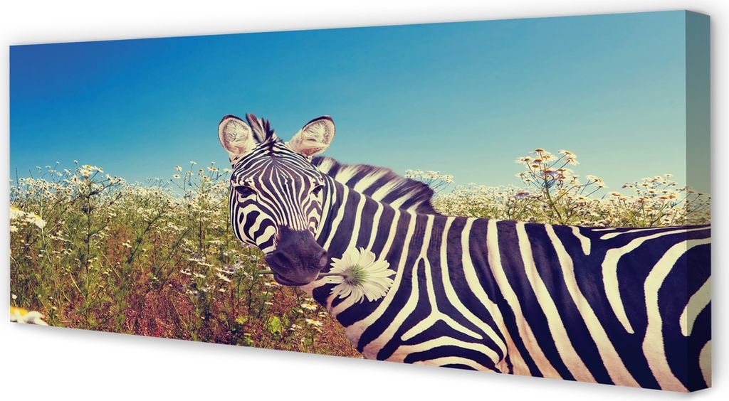 Leinwandbild 125x50 Wandkunst Zebra Blumen