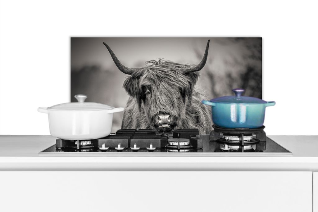 KitchenYeah Spritzschutz Küche - Küchenrückwand - Wandschutz für Herd und Spüle - Schottisches Hochlandrind - Porträt - Schwarz und Weiß 7...