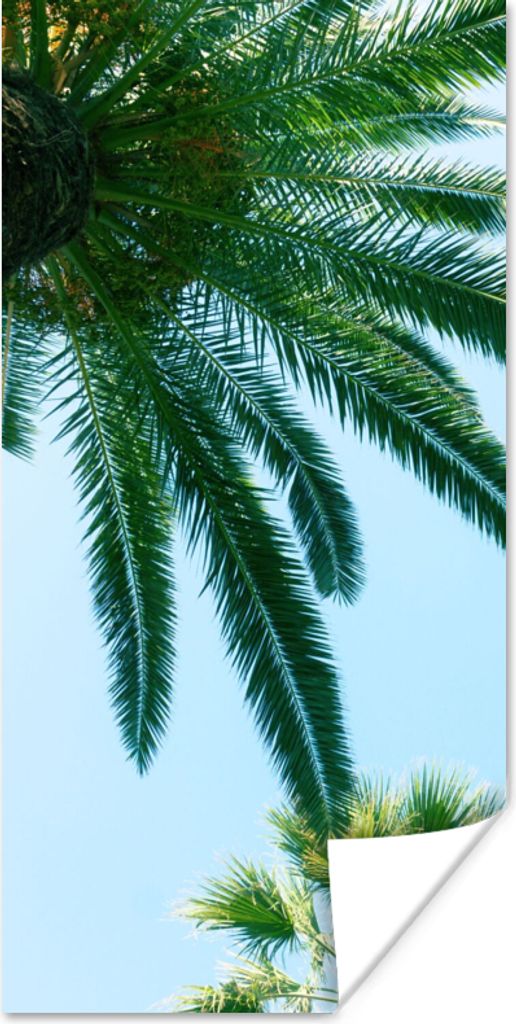 MuchoWow Poster Palmwedel - Himmel - Sommer - Tropisch 20x40 cm - Plakat - Foto