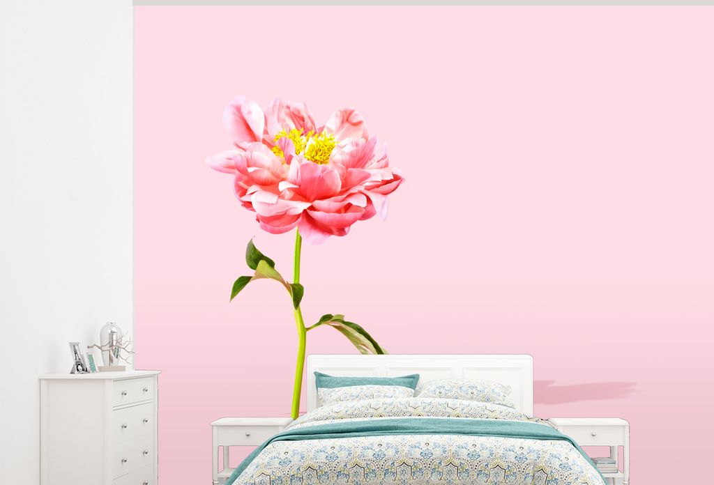 MuchoWow Fototapete für Wohnzimmer oder Schlafzimmer Wandtapete Vinyl Motivtapete Rosa Pfingstrose auf einem rosa Hintergrund - 275x220 cm - Gem...
