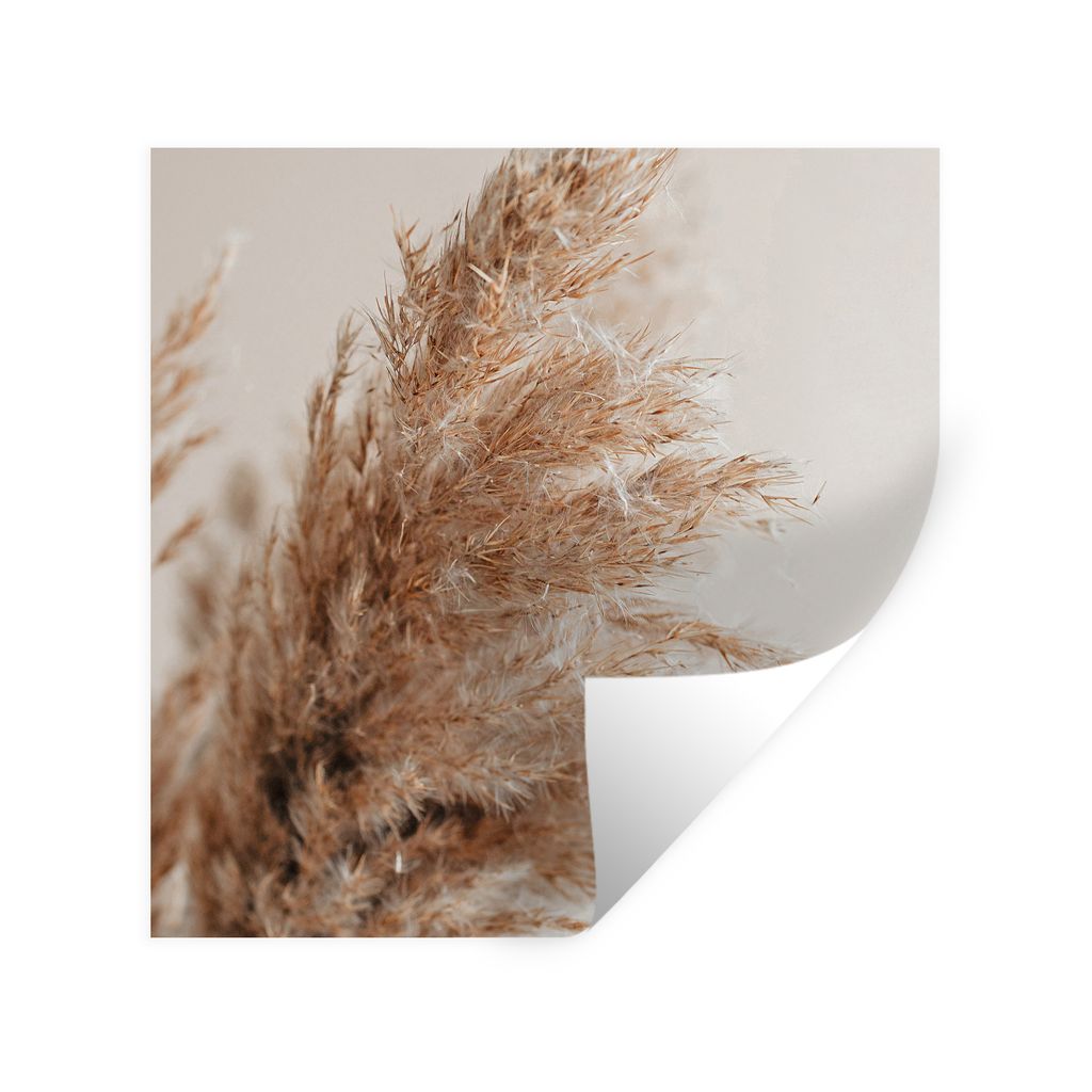 MuchoWow Wandtattoo Wandsticker Wandaufkleber Gras - Pflanzen - Natur - Pampasgras 50x50 cm Selbstklebend und Repositionierbar - Selbstklebend - ...