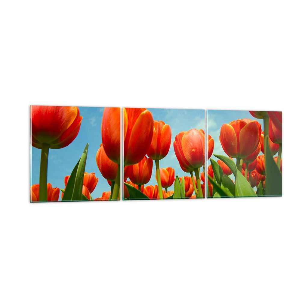 Bilder auf glas - Tulpe Blume blauer Himmel - 120x40cm - Glasbilder - Wandbilder - Kunstdruck - zum Aufhängen bereit - Wanddekoration aus Glas - G...
