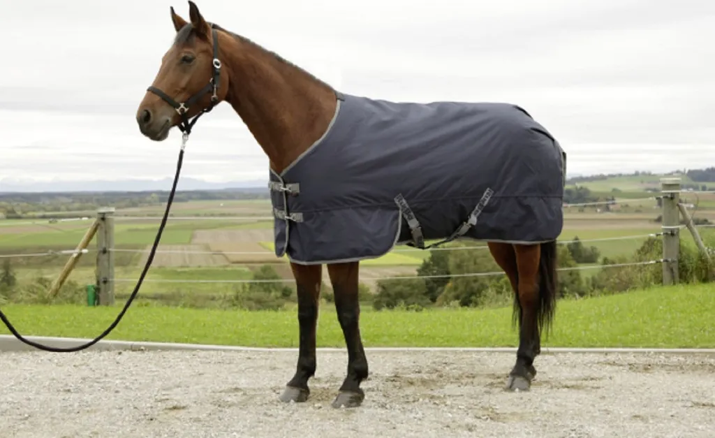Couverture d'hiver chevaux RugBe IceProtect 145 cm x 195 cm 3222150
