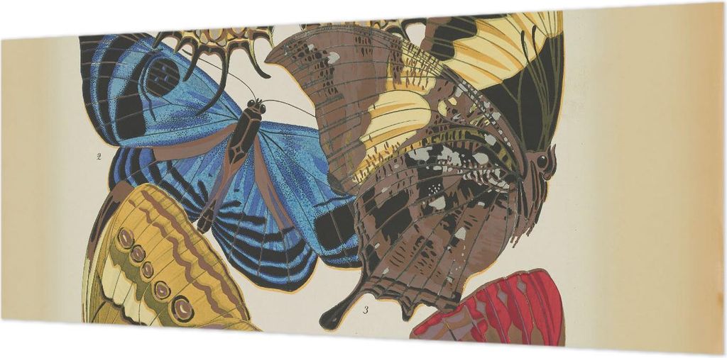 Wandtapete - Dekorative Tapete für Wohnzimmer- Tapetenfolie für Wanddekoration - 208x146 cm - Schmetterlinge Inspiration