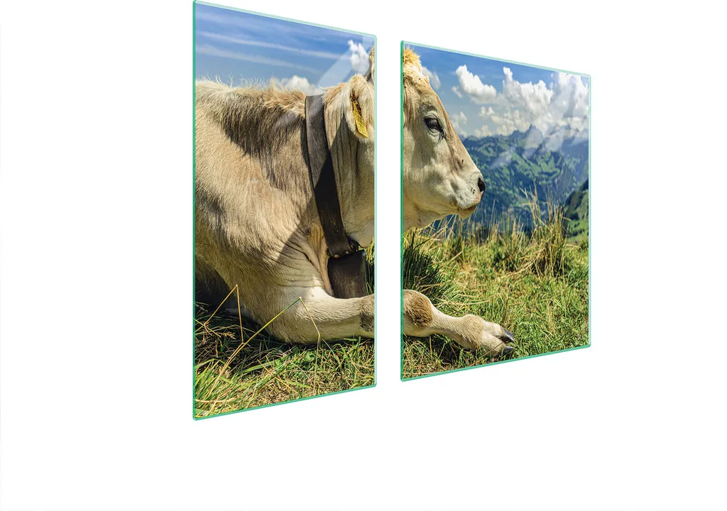 Piastre coprifornelli 2 pezzi 90x52 copertura piano cottura in ceramica tagliere in vetro montagne di mucca