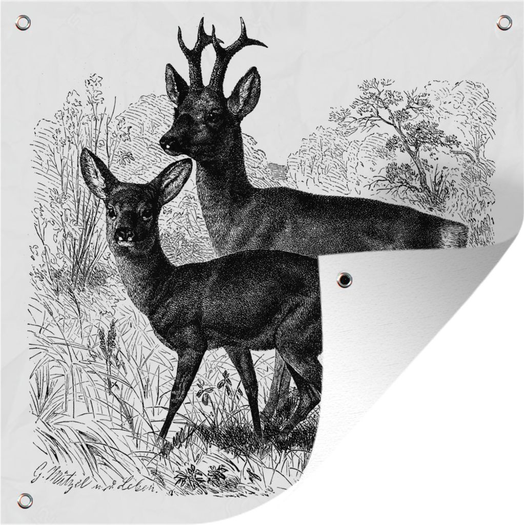 MuchoWow 50x50 cm Outdoor-Poster Gartendeko Sichtschutz Garten Poster für den Garten Eine Schwarz-Weiß-Illustration von Rehen in der Natur