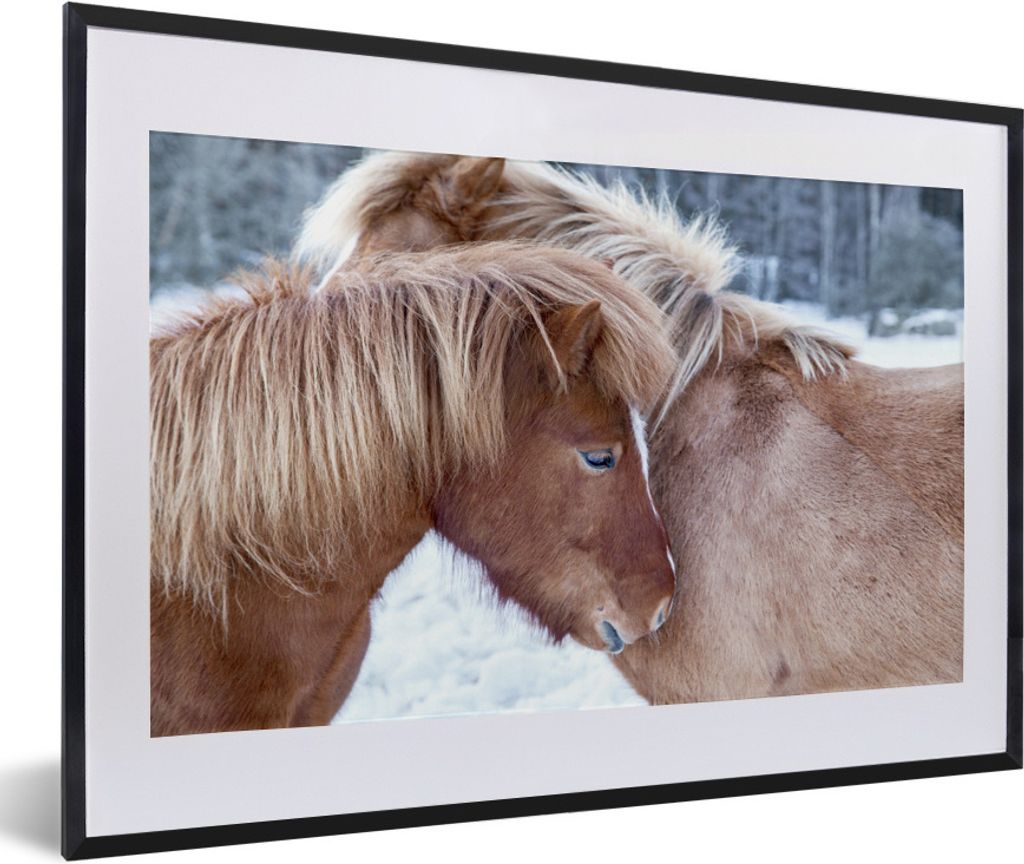 MuchoWow Gerahmtes Poster Pferde - Fohlen - Schnee 60x40 cm - Poster mit Schwarzem Bilderrahmen Wandposter Rahmen Foto Bilder - Schlafzimmer - Pl...