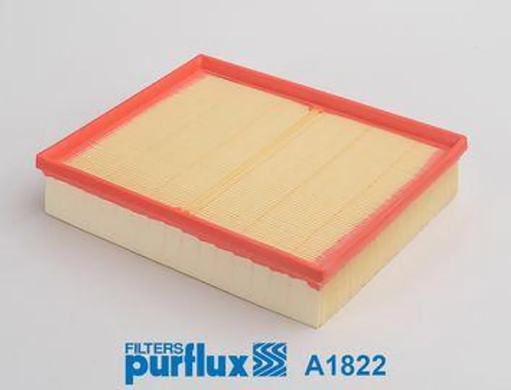 Filtre à air PURFLUX A1822 OE 0000900700 pour Classe X NP300 Alaskan