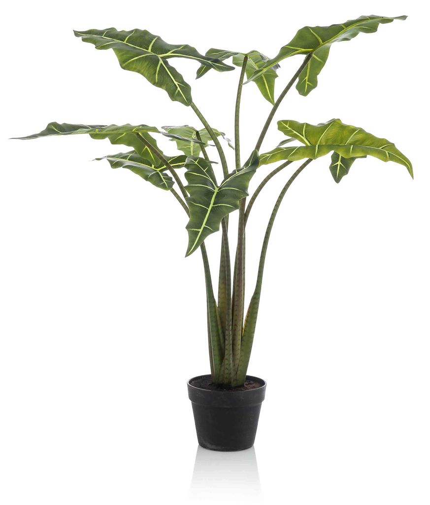 Kunstpflanze - Alocasia Frydek - 120 cm