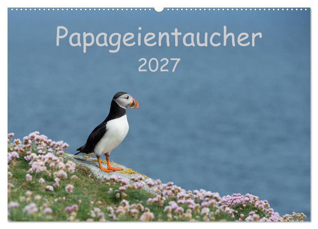 Papageientaucher 2027 (Wandkalender 2027 DIN A2 quer), CALVENDO Monatskalender