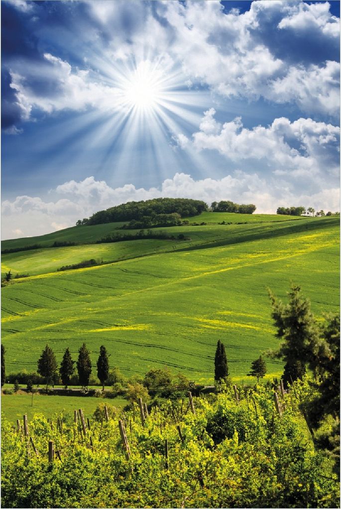 Wallario selbstklebendes Poster - Strahlender Sonnenschein, Größe: 100 x 150 cm