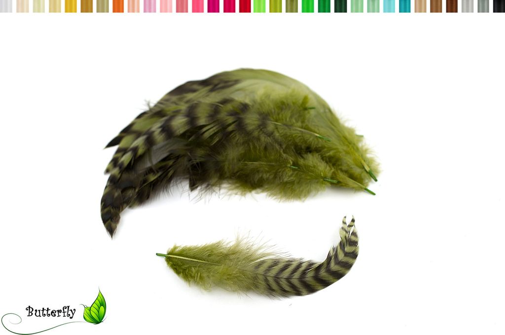 10 Hahnenfedern Chinchilla 15-20cm, Farbauswahl:lindgrün 548H