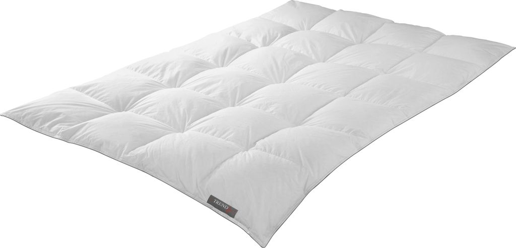 Badenia Trendline Daunendecke Princess warm Größe 135x200 cm Winterdecke 3 cm Steg