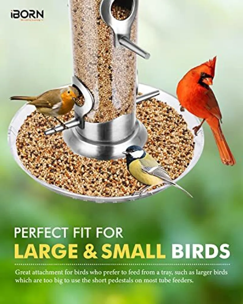 Mangiatoia per Uccelli iBorn Cardinal: 6 Posti e Piatto 20cm Nichel - 5