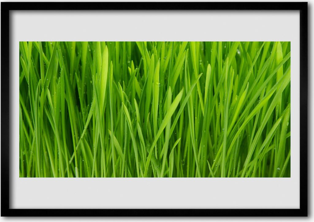 Bild 70x50 MDF-Rahmen Wandkunst Gras Natur Pflanze Produktbild 