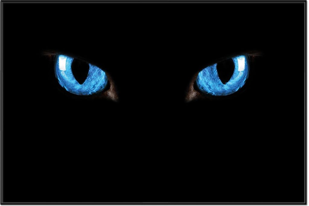 Wallario Wandbild Blaue Katzenaugen bei Nacht, Größe: 61 x 91,50 cm, Poster mit schwarzem Aluminiumrahmen