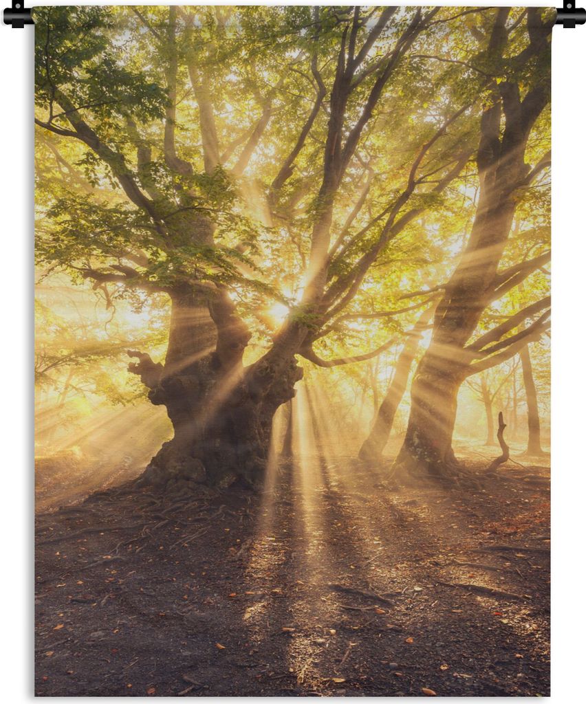 MuchoWow Wandteppich Wandbehang Baum - Wald - Sonne 150x200 cm Tapisserie Dekoration Wandtuch - Wandaufhängung - Moderner