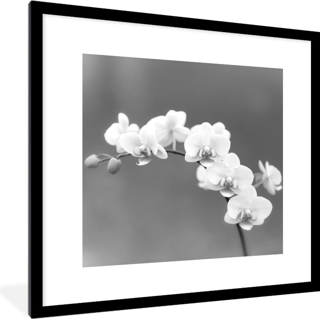 MuchoWow Gerahmtes Poster Orchidee - Blumen - Pflanze - Weiß - Lila 40x40 cm - Poster mit Schwarzem Bilderrahmen Wandposter Rahmen Foto Bilder -...