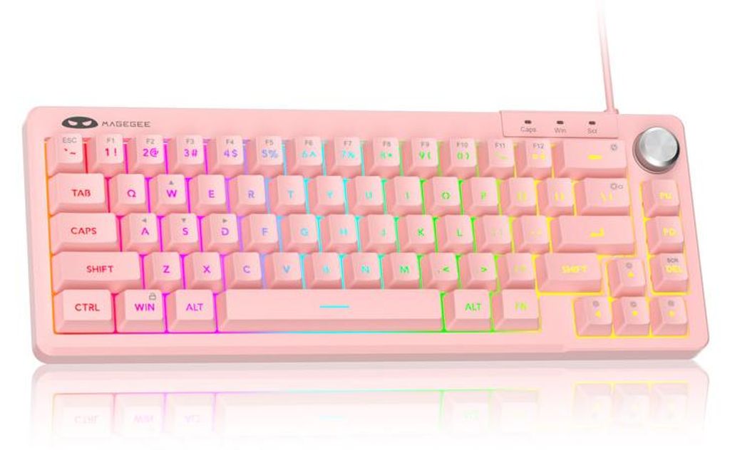 65% Gaming Tastatur RGB kabelgebunden, 66 Tasten Membran Keyboard mit Lautstärke-Drehregler, Anti-Ghosting & FN-Funktionen rosa