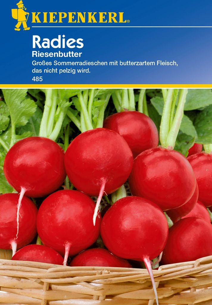 Radies Riesenbutter Produktbild 