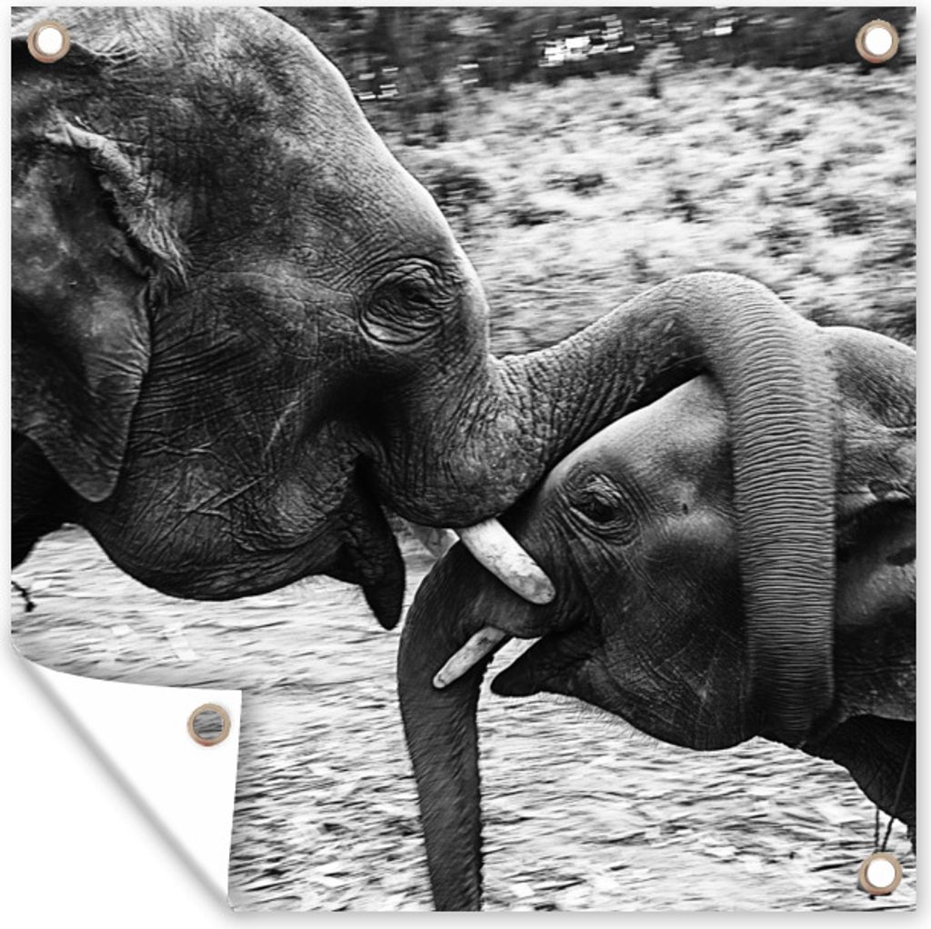 MuchoWow 50x50 cm Outdoor-Poster Gartendeko Sichtschutz Garten Poster für den Garten Knuddelige Elefanten in Schwarz und Weiß